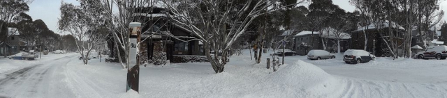 panorama in snow