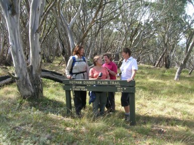 hotham_trail